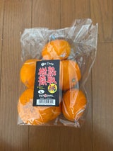 マルマ みかん 樹熟採取 Lサイズ