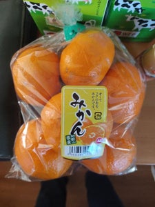 ユーシーポリマー 和歌山産みかんM用袋