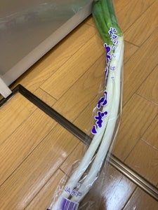 JA全農いばらき 軟白ねぎ 270g