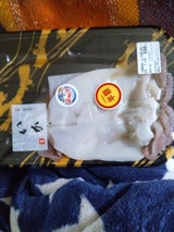 本田 いか一夜干し 1尾