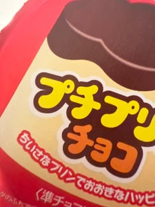 カバヤ プチプリンチョコ 34g