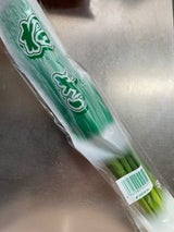 ホリアキ ねぎ 1P