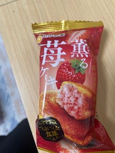 丸中製菓 薫る苺ケーキ