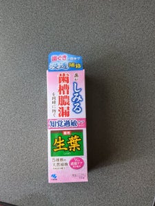 小林製薬 生葉Sa 知覚過敏ケアタイプ 100g