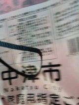 中津市 燃やすごみ 30L