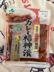 新進 国産野菜カレー福神漬 袋 100g