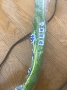 菅谷 若潮ねぎ