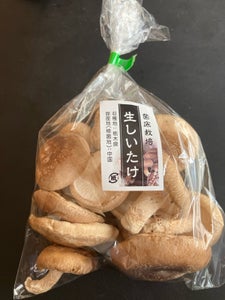 HALO 生椎茸 100g