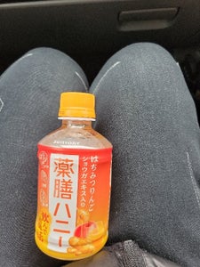 ホット薬膳ハニーはちみつりんご ペット 280ml