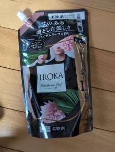 IROKA ハンサムリーフ スパウト 650ml