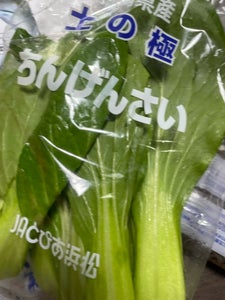 JAとぴあ浜松 静岡フルーツ野菜 ちんげんさい