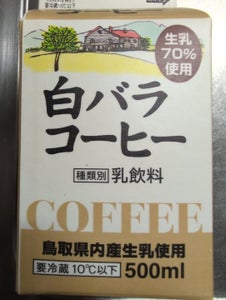 大山 白バラコーヒー 500ml