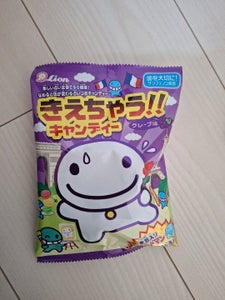 ライオン菓子 きえちゃうキャンディ 89g