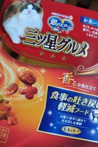 銀のスプーン 三ツ星食事の吐き戻し軽減16g×12