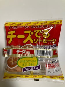 銀河フーズ チーズでるソーセージ 63g×2