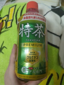 サントリー ホット伊右衛門特茶 ペット 500ml