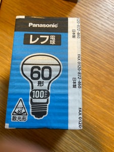 Panasonic 電球 RF100V54WD