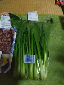 JA新潟 小松菜 300g