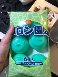 田口食品 メロン園より 100ml×6