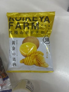 KOIKEYAFARM黄金の果肉天海の焼き塩55g