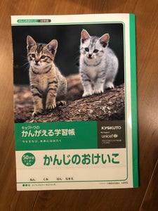 極東 ムツゴロウ かんじのおけいこ50字 L415