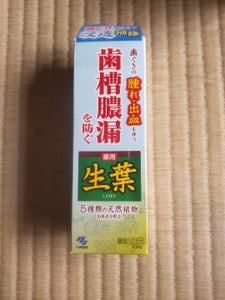 小林製薬 生葉d 100g