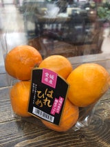 四国 はれひめ 1P