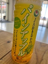 JAおきなわ パインアップル ペット 500ml