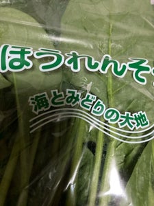 JA茨城 ほうれんそう