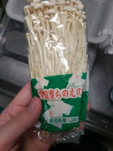 JAにいがた エノキダケ 100g