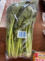 太洋 こまつ菜袋