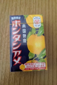 セイカ食品 ボンタンアメ 10粒