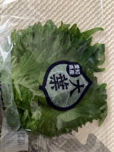 愛知県経済連 大葉 20g