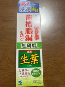 小林製薬 生葉Ma 無研磨タイプ 95g