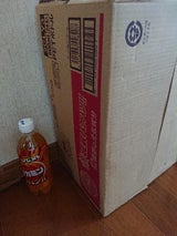 アサヒ ドデカミン PET 500ml×24