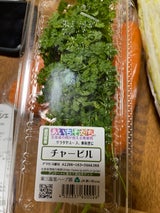 東三 チヤービル