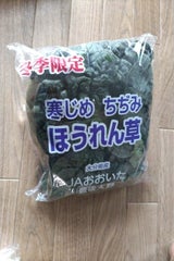 JA大分 ちぢみほうれん草
