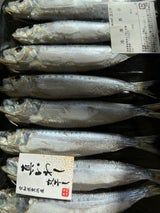 山太 豊浜産イワシ丸干し 8尾