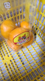 マルマ みかん 1P