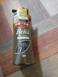 テンスター カラーシャンプーSBK 300ml