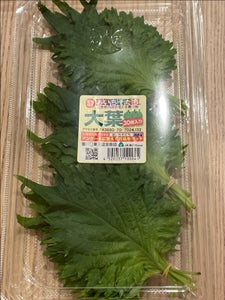 東三温室園芸農協 大葉 30枚