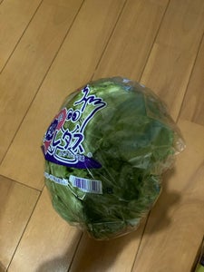 JA全農いばらき レタス