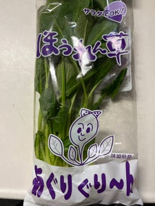 JA茨城 サラダほうれんそう 100g