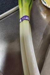 JA石川 石川県産白山ねぎ 1束