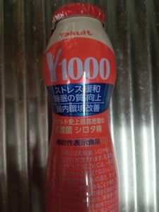 ヤクルト Y1000 110ml