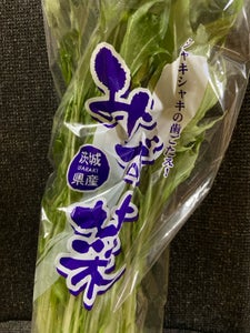 精工 みず菜袋 1P