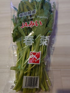 全農福岡 しゅんぎく 中葉 200g