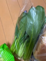 アドバンス こまつな茨城県産 1P