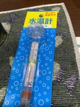 クハラ 水温計 M