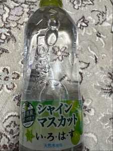 コカコーラ いろはすシャインマスカット 540ml